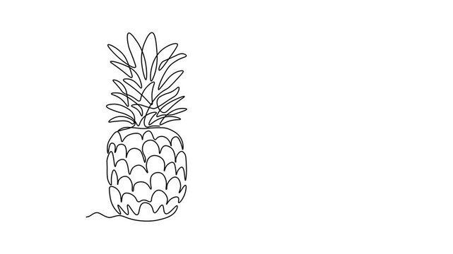 Abstract Pina Colada cocktail and pineapple fruit and slice, ananas, Self drawing animation one continuous line draw, logo