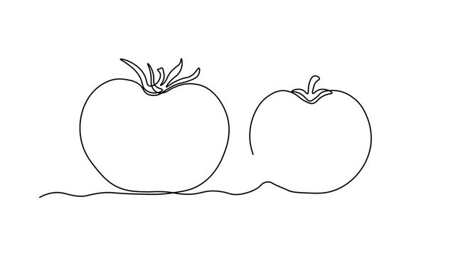 Abstract vegetable tomato and piece,slice, Self drawing animation one continuous line draw, logo