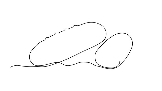 Abstract vegetable cucumber and piece,slice. Self drawing animation one continuous line draw, logo