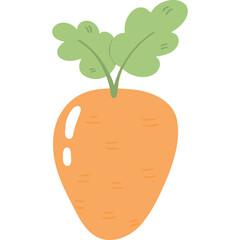 Cute orange carrot vegetable organic simple flat vector