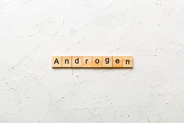 androgen word written on wood block. androgen text on table, concept