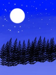 Naklejka premium winter night landscape