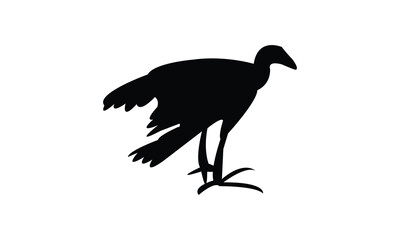 African swamphen bird Silhouette Design  And Vector Illustration. 
