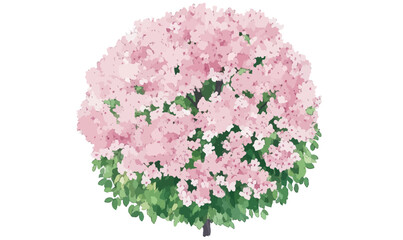 Blooming Spring Tree Top View Vector Watercolor for Landscape Architecture