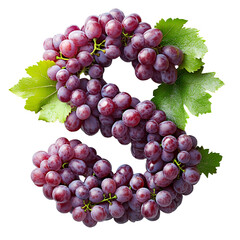 Fototapeta premium Top view of a 3D letter S made of grapes fruit isolated on a white transparent background.