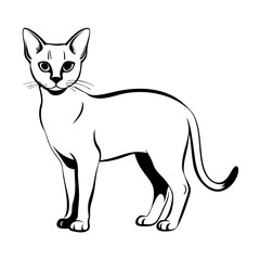Burmilla cat standing gracefully in sleek black outline, minimalist