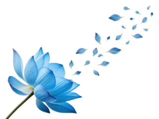 Stunning blue lotus flower gracefully releases its delicate petals, creating serene and tranquil atmosphere that captivates senses