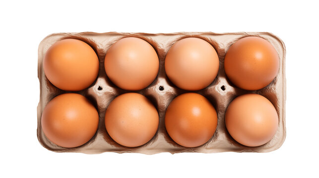 A top down view of eight brown eggs arranged neatly in a cardboard egg carton against a black background