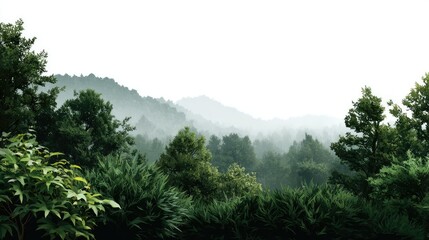 Obraz premium Misty Mountain Forest: Serene Landscape Painting