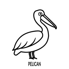Pelican Vector Illustration for Wildlife Birdwatching and Coastal Nature Designs