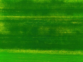green farmland from a drone, green meadow from a bird's eye view, green meadow photo, green grass from above, green lawn from a bird's eye view
