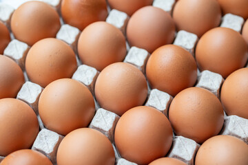 Fresh organic brown chicken eggs in cardboard tray