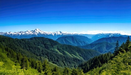 Fototapeta premium A panoramic view of a lush green mountain range with a clear blue sky and distant snowy peaks.