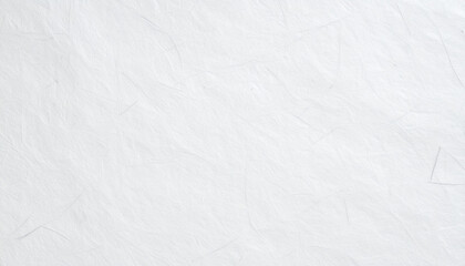 Obraz premium 白色和紙の風合いと繊維模様の背景