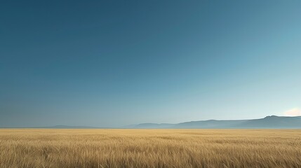 Fototapeta premium Golden wheat field stretches to hazy mountain range under a vast blue sky