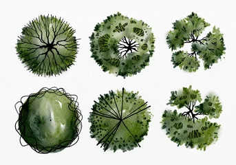 Fotobehang Hand-drawn architectural top view tree symbols set for landscape and garden planning. © NaPUN