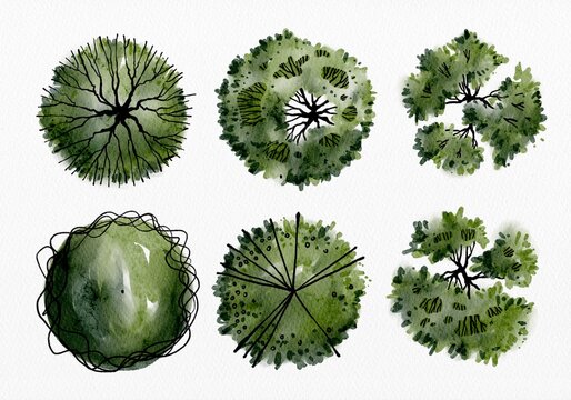 Hand-drawn architectural top view tree symbols set for landscape and garden planning.
