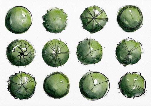 Top view sketch trees hand-drawn with ink and watercolor style for landscape planning