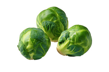 Obraz premium Fresh green brussels sprouts isolated on white background