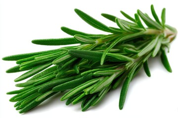 Fototapeta premium Fresh vibrant rosemary sprigs arranged aesthetically showcasing rich green hue and textured leaves ideal for culinary inspiration and natural remedy applications