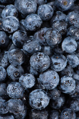 fresh blueberry fruit texture background