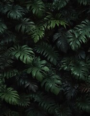 Dark tropical leaves, lush jungle foliage on black background, monstera, illustration