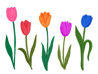 tulips flower watercolor illustration with different flowers and stalk - pink, red, yellow, purple, blue
