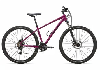 Fototapeta premium Studio shot of a purple marin hardtail mountain bike with black tires and components against a white background