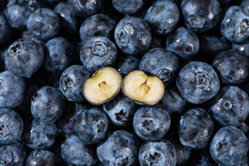 fresh blueberry fruit texture background