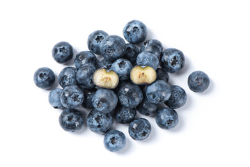 fresh blueberry isolated on a white background.