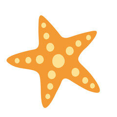Starfish illustration