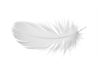 Fototapeta premium Delicate white feather isolated against a clean white background, showcasing its soft texture and airy lightness