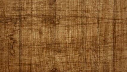 backgrounds and textures concept - wooden texture or background
