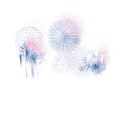 Fototapeta premium light texture illustration flower design