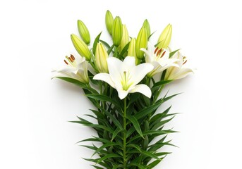 Fototapeta premium Elegant bouquet of white lilies with green buds and leaves against a clean white background
