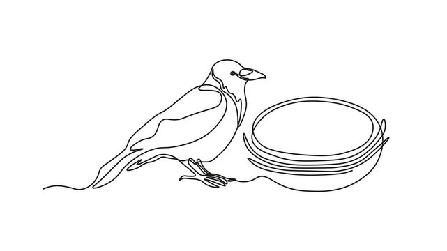 Abstract raven, crow bird's nest with eggs, Self drawing animation one continuous line draw, logo