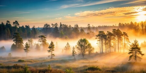 Fototapeta premium A serene forest at dawn with mist rising from the ground, solitude, stillness, solitude, stillness,serene