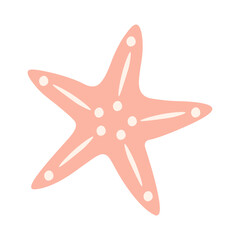 Starfish illustration