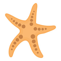 Starfish Illustration