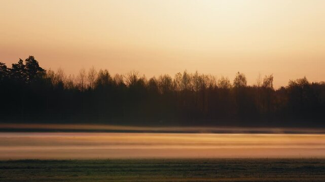 Red Sunrise with Fog and Silhouettes of Trees in Forest on Sunny Morning