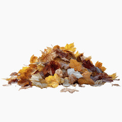 Pile of Frost-Covered Autumn Leaves