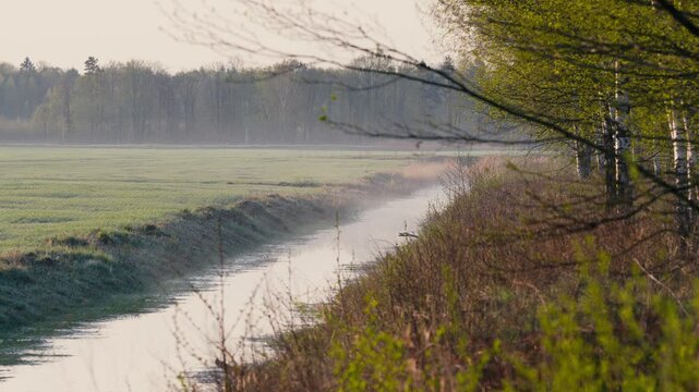 Morning Sunrise Over a River and Green Fields with Forest in Spring or Summer