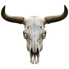 A stark image of a bleached animal skull with prominent horns against a black isolated background