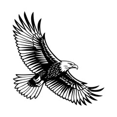 eagle vector illustration, Soaring Eagle