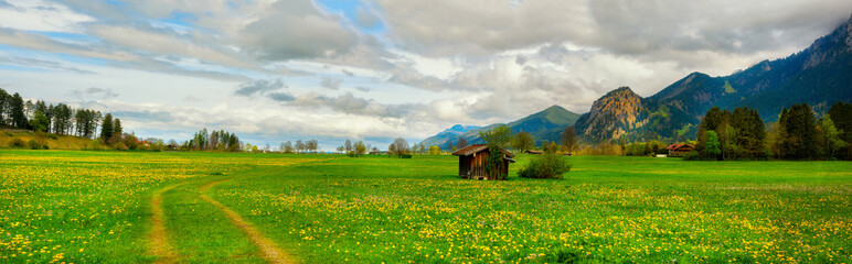 Fototapeta premium Panoramic view of a blooming spring meadow with a dirt road, wooden barns, and alpine mountains in the background. Beautiful Bavarian countryside landscape.