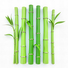 Obraz premium Fresh Bamboo Stalks with Leaves PNG