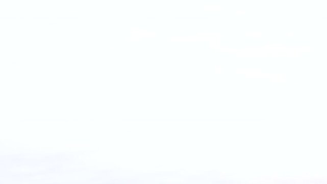 a close tracking shot of a loggerhead turtle hatchling reaching the water at mon repos beach in bundaberg, australia