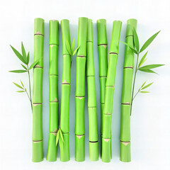 Fresh Bamboo Stalks with Leaves PNG
