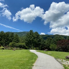 Winding Walking Path through a Sunny Green Park under Blue Sky