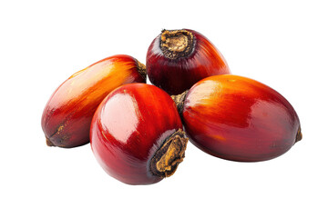 Obraz premium Natural palm oil nuts illustration provided in transparent PNG for eco friendly design and educational resources